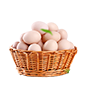 Yumurta