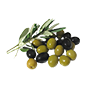 Zeytin