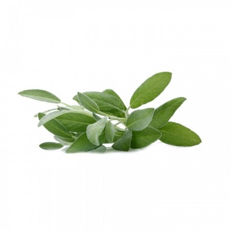 Test Doğal Hayat Ürünü 01