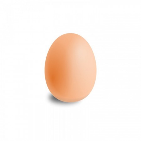  Organik Doğal Köy Yumurtası